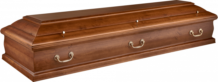 Сercueil Apollo 210 brillant