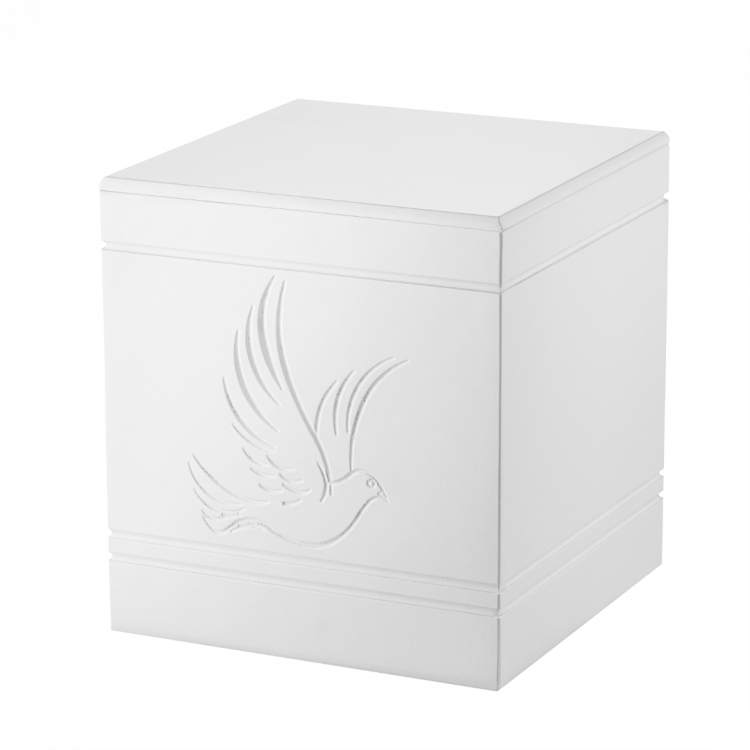 Сoffin Астра белая