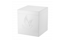 Сoffin Астра белая